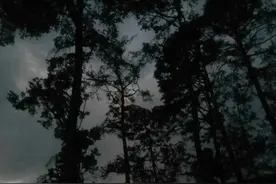 在梦中与异性亲密接触，其背后隐藏着怎样的心理暗示？图片