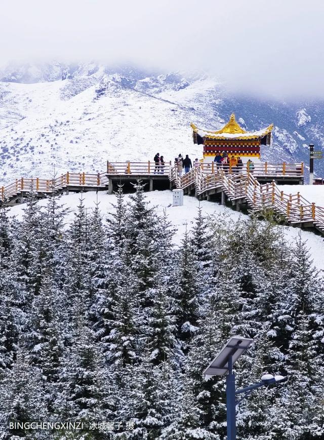 甘南-川西北之旅-6︱六月雪吻郎木寺