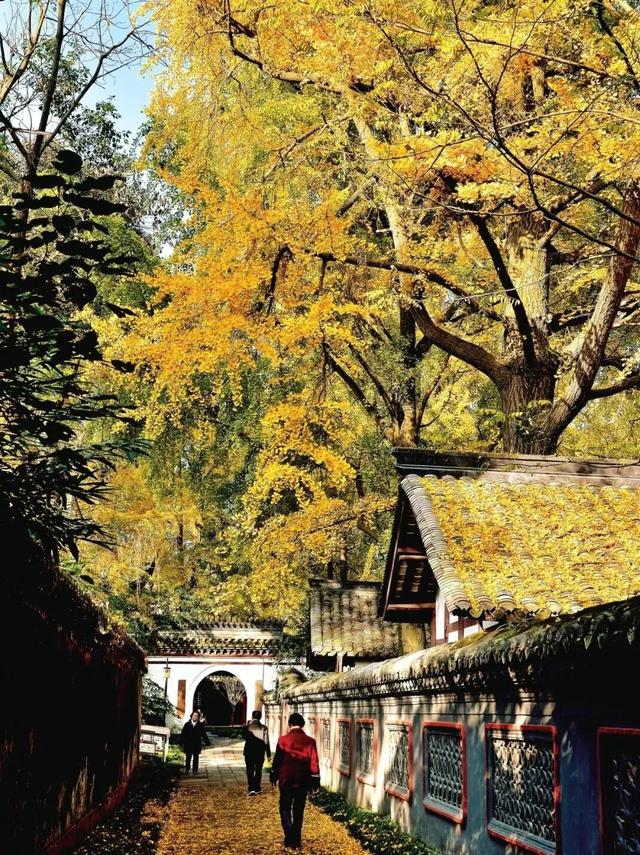 首个秋假怎么耍？不妨来一场从从容容、游刃有余的成都周边游