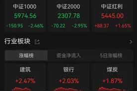 A股跳水原因找到了！内资机构又砸盘800亿？机构之歌来了...图片