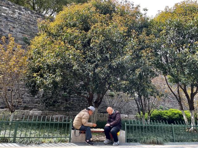 我62岁丧偶，想后找人搭伙，我负责日常的生活费，只有这4个要求