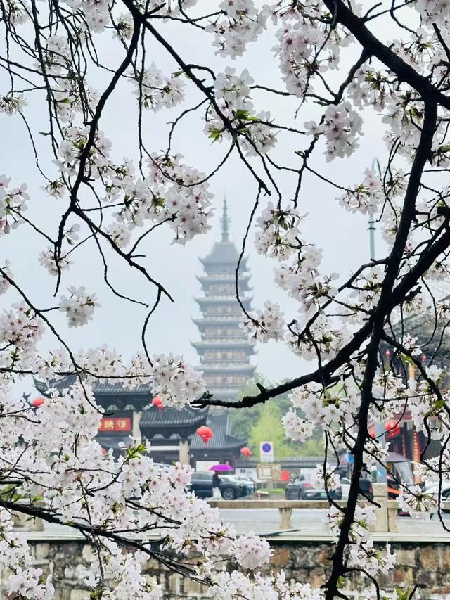 春假6天,不出门