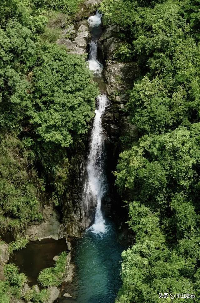 骑遇坪山① | 宝藏“高颜值”骑行线,拍出森系大片刷爆朋友圈