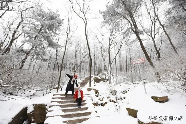 正式开启！淄博人有自己的“雪乡”了，已经美成童话！