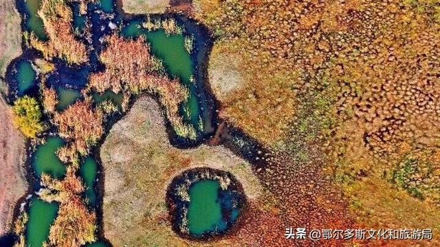 内蒙古杭锦旗：湿地秋景惹人醉