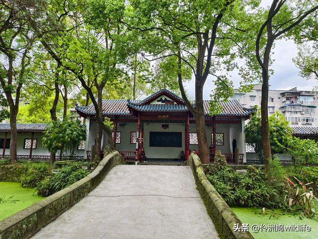 成都古镇（15）郫县唐昌古镇崇宁公园·大椿巷