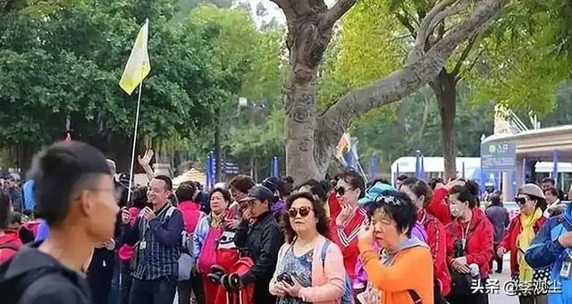 景区三大乱象曝光,圈地宰客太黑心,专坑老百姓血汗钱