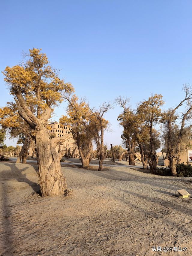 2025环南疆沙漠铁路背包自由行日记(6)---游览巴楚红海胡杨林景区