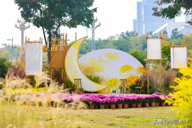 光谷菊展今起在鸡公山公园举行,各色“顶流”争奇斗艳等你打卡,持续至11月30日
