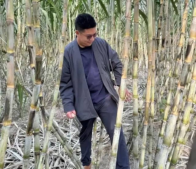 反向旅游神操作！四川眉山9块9自助偷甘蔗火出圈，吊打5A景区？