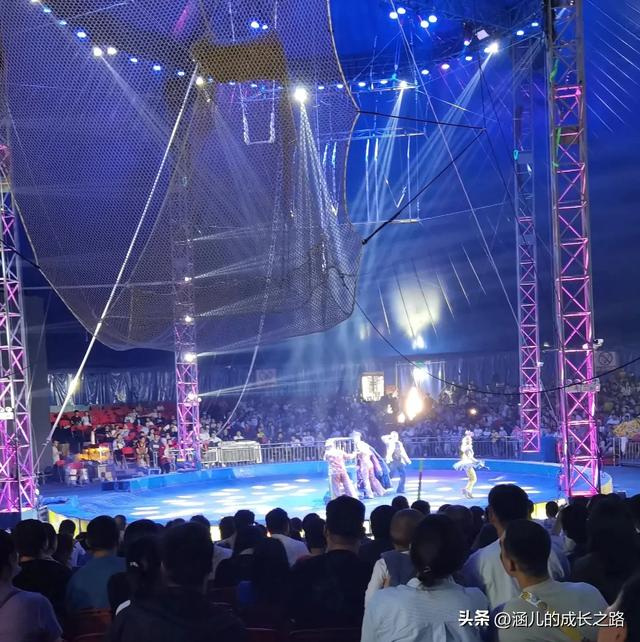 最新天津极地海洋馆一日游攻略——亲测实用!所有演出都可看完!