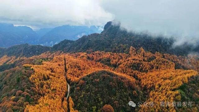 松针作笔，风折叶黄——嘉陵江峡谷群的初冬上滩书