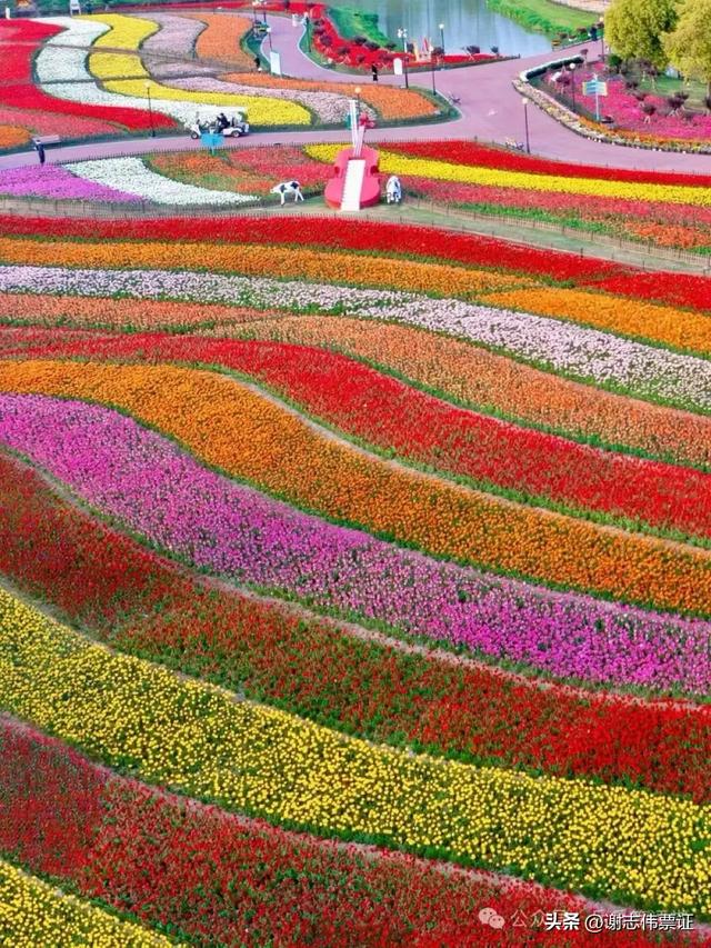 10月第5期(5天)点评