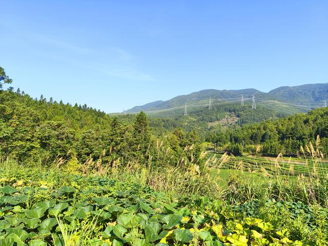 福建 · 福州 · 大湖 · 一村一品：东姚村(2025·7·28～8·1)
