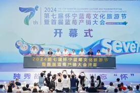 第七届怀宁蓝莓文化旅游节暨首届蓝莓产销大会成功举办图片