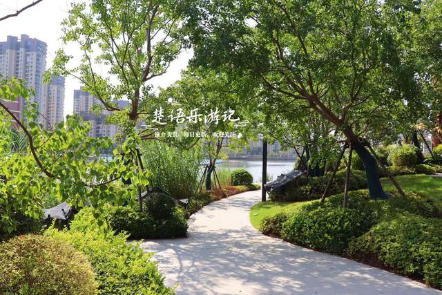 宁波慈溪这处风景被人忽略但很优美，即将迎来绚烂时刻，值得游玩