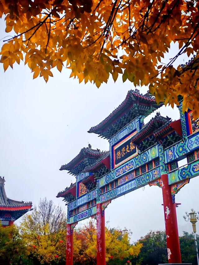 打卡定州限定秋景！