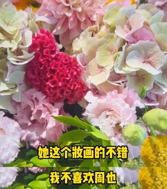 王诗龄三大平台全部沦陷，爱女的李湘却默不作声，一手好牌打稀烂