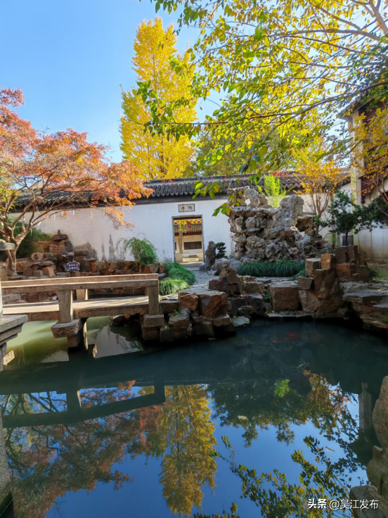 周末去打卡丨“杏”会！颜值高峰来了！