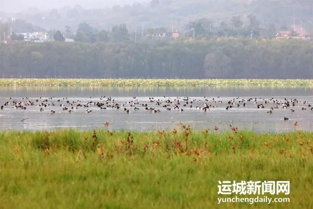 “淡季不淡”，运城文旅持续火热