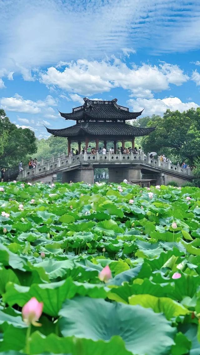 中国十大最美城市湖泊，你去过几个？