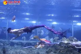 走，去看“男美人鱼”图片