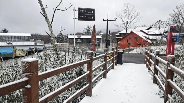 三场大戏+五大活动，宁强元旦狂欢倒计时！