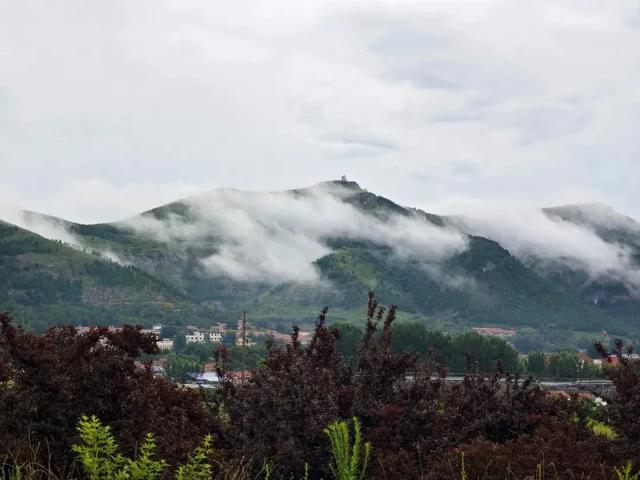 雨后泉水喷涌、飞瀑如练,淄博这些原生态山水秘境太美了!