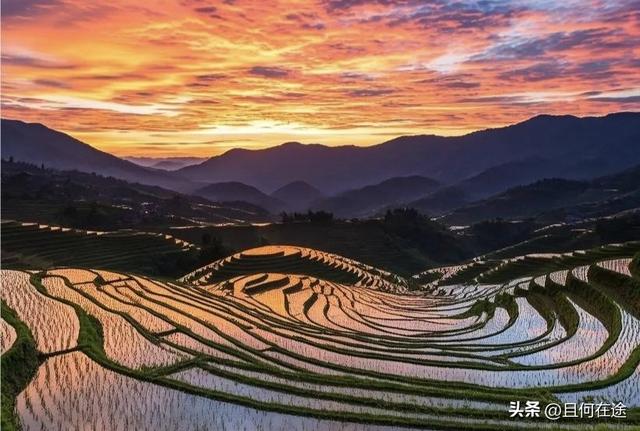 国庆期的龙脊梯田，即使是用老人机，也能拍出最动人的秋景与秋色