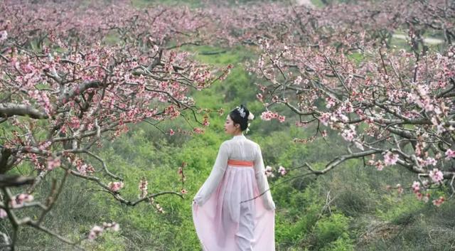 乐游天府卫星城｜眉山天府新区真人闯关游戏来了！