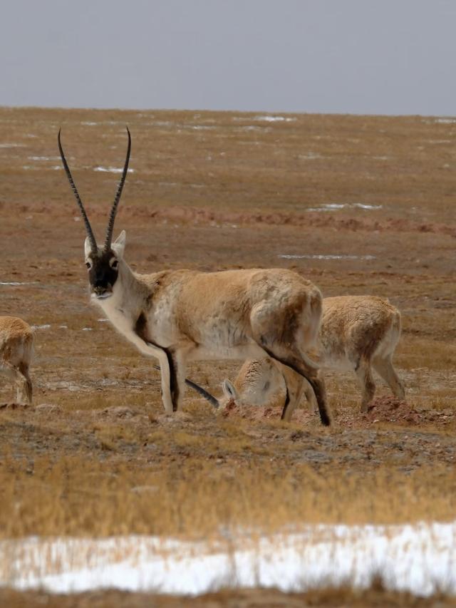 中国最美的22个地方，去过一半，此生无憾