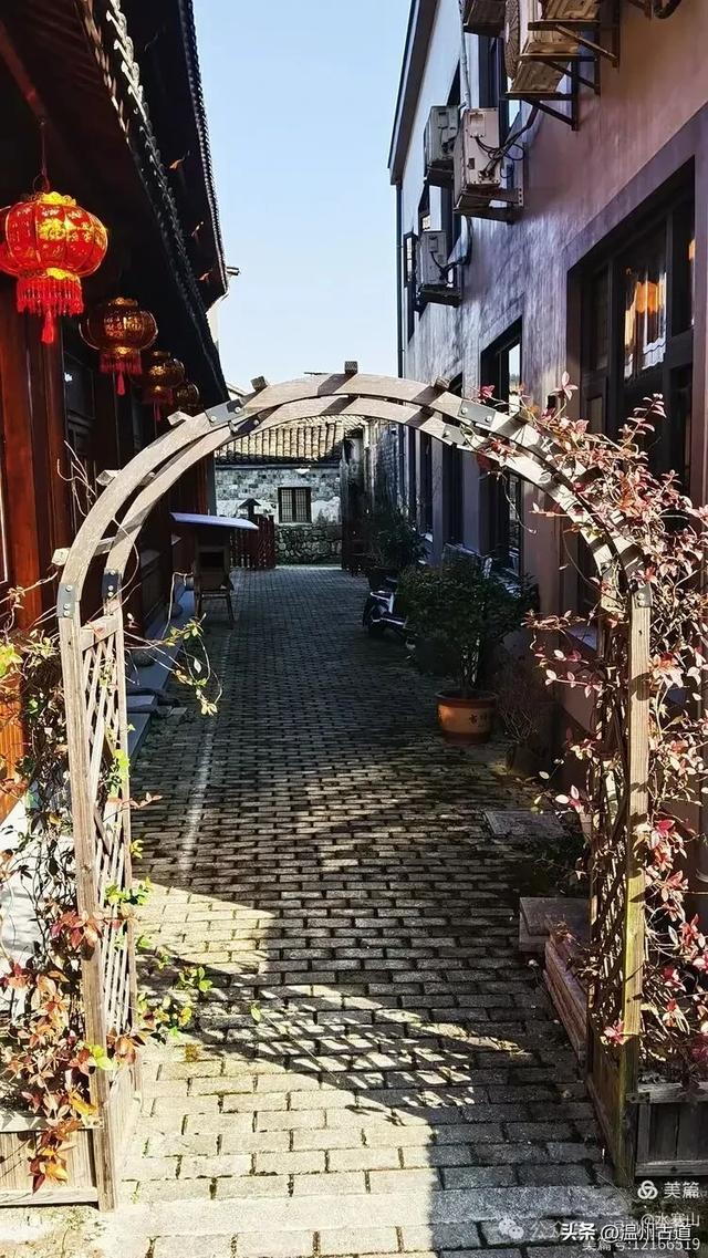 踏秋宝地,来宁波第一长寿古村,长寿之秘,藏于雁苍山水间!
