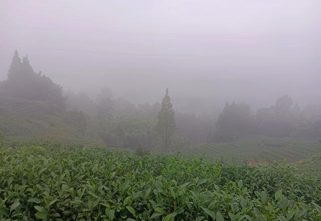在天地间感悟人生，想法一串接一串，再给大家说说电瓶车保险的事