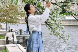 错过再等一年！石家庄绝美的樱花打卡地！图片