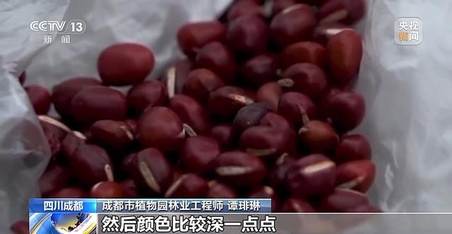 “捡秋”有风险 “尝鲜”需谨慎！牢记这些可避隐患