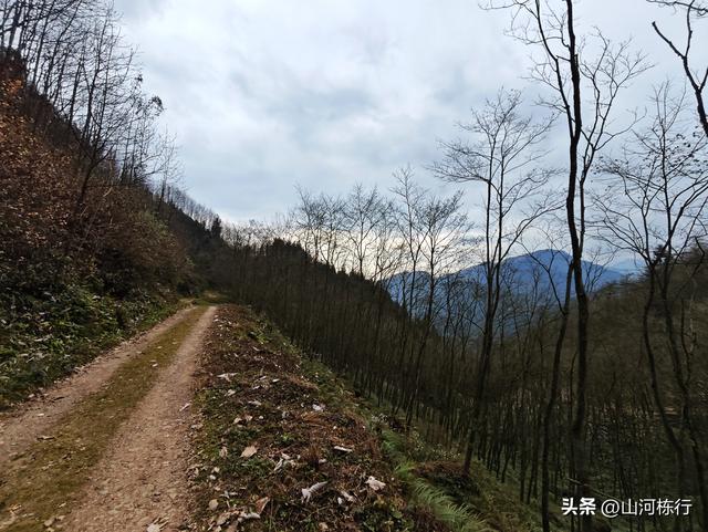 徒步都江堰上元古道｜12公里千阶登顶，一场与自己的硬核对话