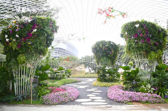 2025 广州园博会遛娃全攻略！白天赏花、夜晚观灯，亲子互动玩不停