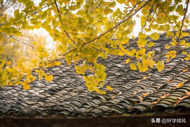 如果你已经七十岁，请花点时间看完此文，一定对你有所帮助