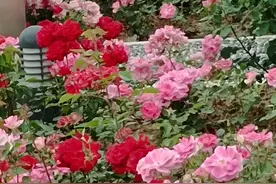 烧纸时火苗总向你飘？揭秘这一神秘现象！图片