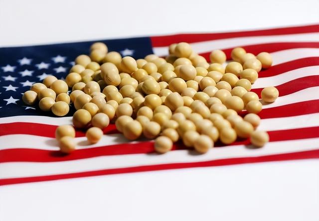 美大使通知中方，交出港口，否则后果自负，中国对美大豆采购停滞