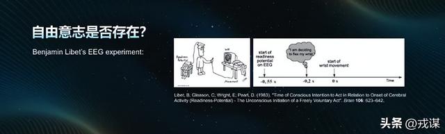 人类独占意识？鸟类没大脑皮层，却照样有意识！意识不是人类专属