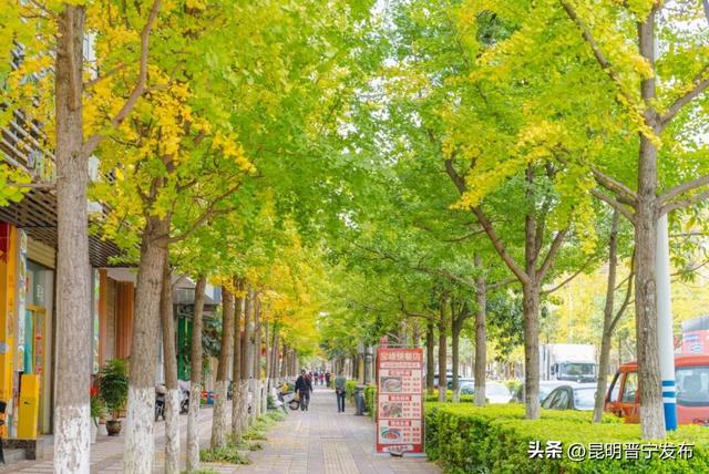 秋染宜居城——深秋的昆阳藏着最惬意的生活模样