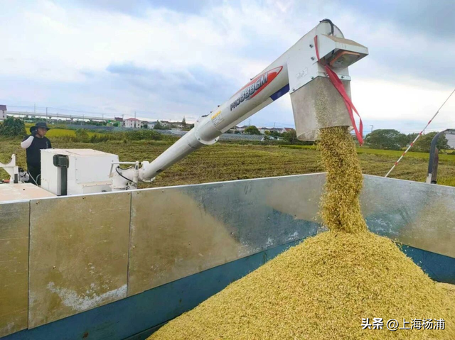 “沪派江南”复兴市集开张啦！本周六，登岛逛吃玩