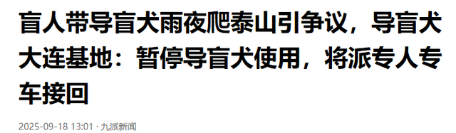 带导盲犬爬泰山后续！账号被扒，带狗到处旅游，基地回应大快人心