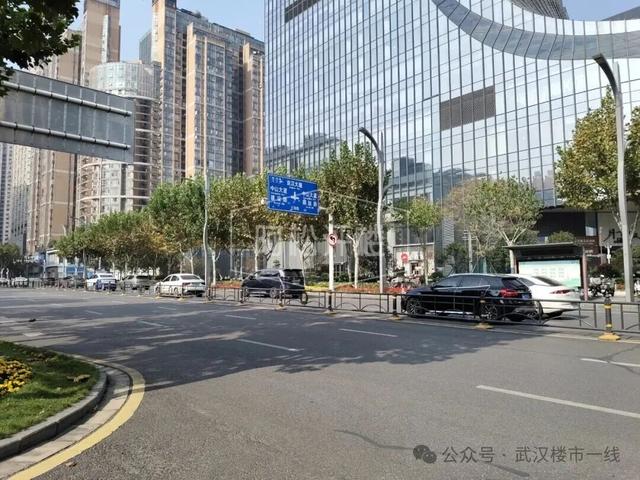 彻底出圈！武汉新增一个免费网红打卡地！