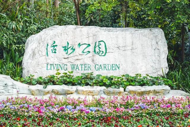 最后两天！家门口遛娃→