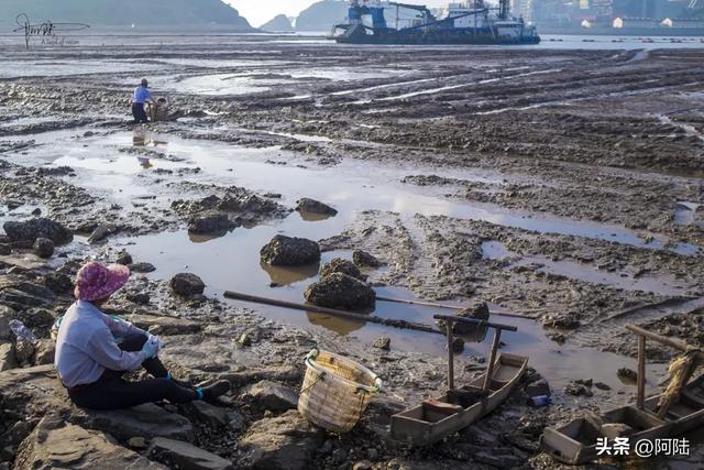 探秘施工中的龙港沿海长堤,风景很野,到滩涂上挖海参的渔民很多