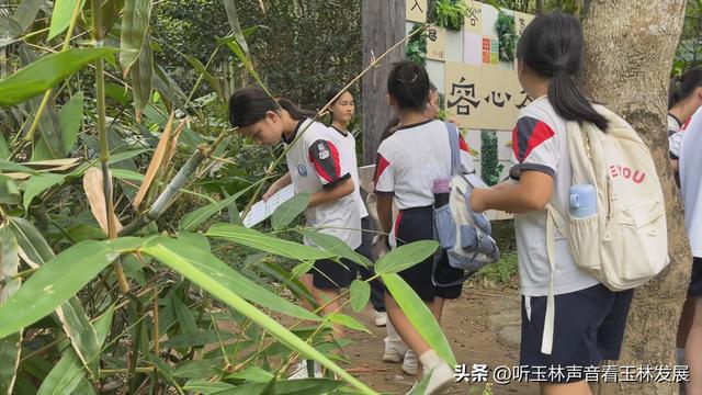 北流容心谷“探索自然之美，传诵诗韵风雅”主题研学活动广受好评