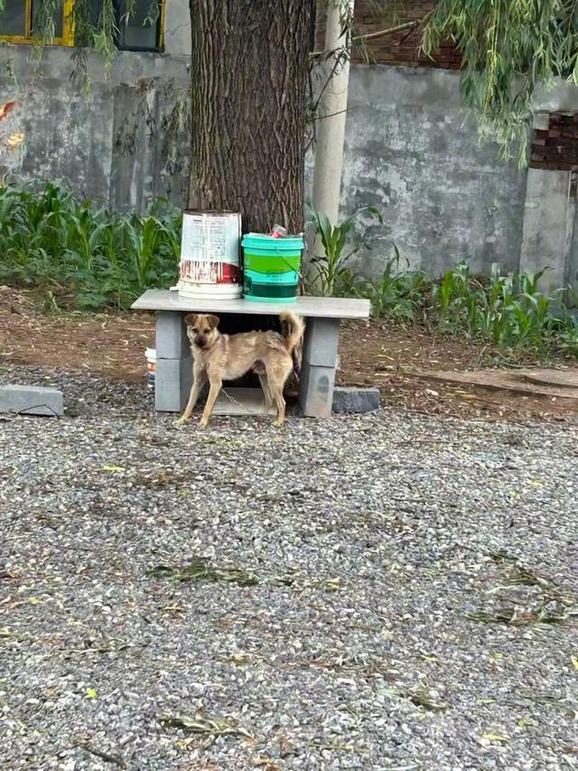 山西反杀案新细节太气人，申家儿子不在场，原告对警察放狠话？