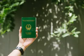 政府补贴支持:持三、四级残疾证者的福利待遇解析！图片